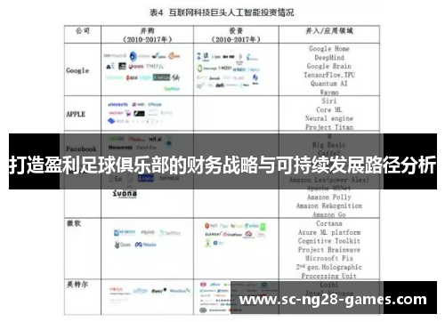 打造盈利足球俱乐部的财务战略与可持续发展路径分析