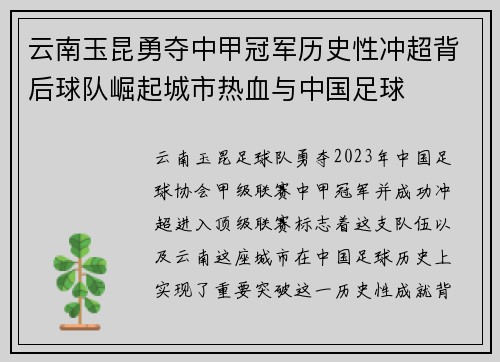 云南玉昆勇夺中甲冠军历史性冲超背后球队崛起城市热血与中国足球